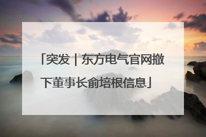 突发｜东方电气官网撤下董事长俞培根信息