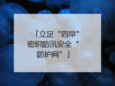 立足“四早”密织防汛安全“防护网”