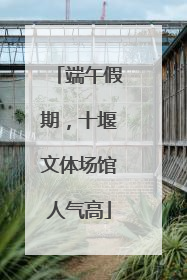 端午假期，十堰文体场馆人气高
