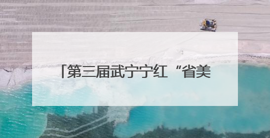 第三届武宁宁红“省美酒”杯斗茶大赛举行