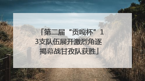 第二届“贡嘎杯”13支队伍展开激烈角逐 揭幕战甘孜队获胜