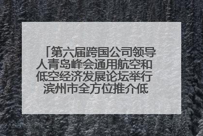 第六届跨国公司领导人青岛峰会通用航空和低空经济发展论坛举行 滨州市全方位推介低空经济发展优势