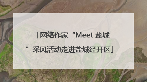 网络作家“Meet 盐城”采风活动走进盐城经开区