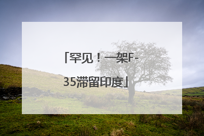 罕见！一架F-35滞留印度