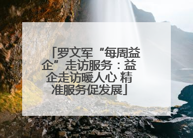 罗文军“每周益企”走访服务：益企走访暖人心 精准服务促发展