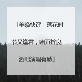 羊晚快评｜落花时节又逢君，睹万梓良酒吧演唱有感