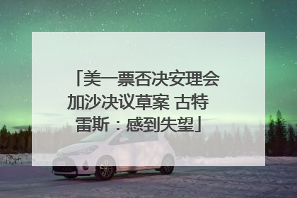 美一票否决安理会加沙决议草案 古特雷斯：感到失望