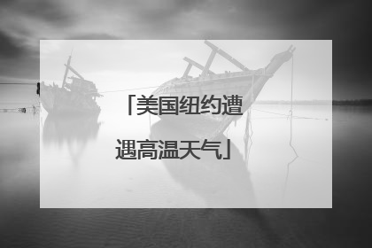 美国纽约遭遇高温天气