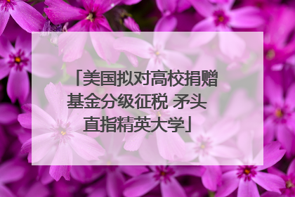 美国拟对高校捐赠基金分级征税 矛头直指精英大学