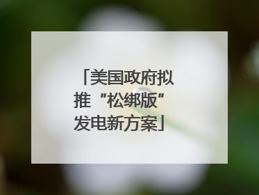 美国政府拟推“松绑版”发电新方案