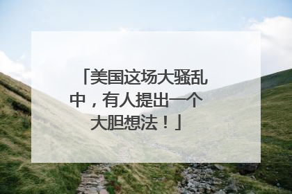 美国这场大骚乱中，有人提出一个大胆想法！