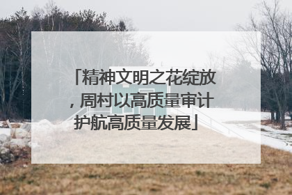 精神文明之花绽放，周村以高质量审计护航高质量发展