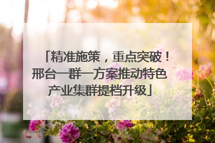 精准施策，重点突破！邢台一群一方案推动特色产业集群提档升级
