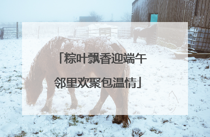 粽叶飘香迎端午 邻里欢聚包温情