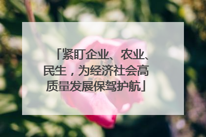 紧盯企业、农业、民生，为经济社会高质量发展保驾护航