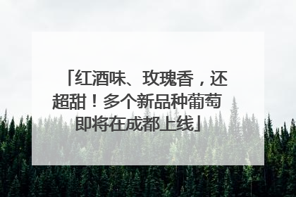 红酒味、玫瑰香，还超甜！多个新品种葡萄即将在成都上线