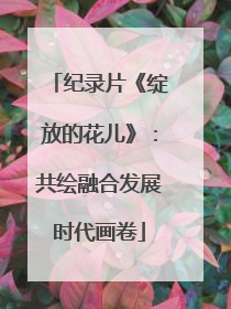 纪录片《绽放的花儿》：共绘融合发展时代画卷