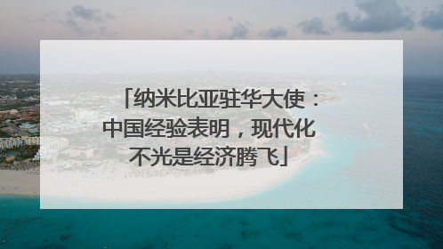 纳米比亚驻华大使：中国经验表明，现代化不光是经济腾飞