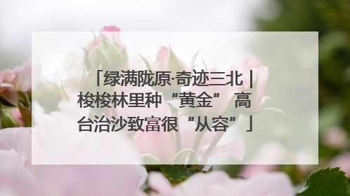 绿满陇原·奇迹三北｜梭梭林里种“黄金” 高台治沙致富很“从容”