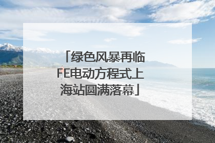 绿色风暴再临 FE电动方程式上海站圆满落幕