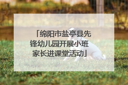 绵阳市盐亭县先锋幼儿园开展小班家长进课堂活动