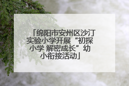 绵阳市安州区沙汀实验小学开展“初探小学 解密成长”幼小衔接活动