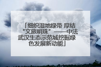 细织湿地绿带 厚结“文旅明珠”——中法武汉生态示范城挖掘绿色发展新动能