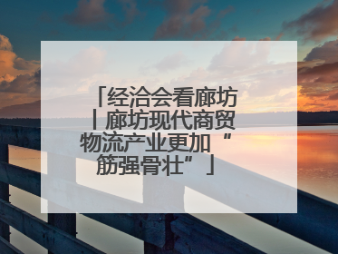 经洽会看廊坊丨廊坊现代商贸物流产业更加“筋强骨壮”