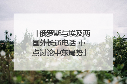 俄罗斯与埃及两国外长通电话 重点讨论中东局势