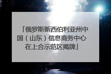 俄罗斯新西伯利亚州中国（山东）信息商务中心在上合示范区揭牌