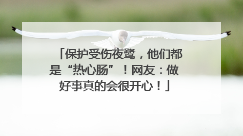 保护受伤夜鹭，他们都是“热心肠”！网友：做好事真的会很开心！