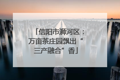 信阳市浉河区：万亩茶庄园飘出“三产融合”香