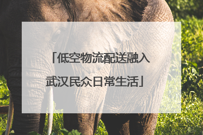 低空物流配送融入武汉民众日常生活