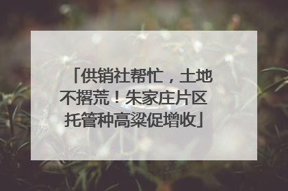 供销社帮忙，土地不撂荒！朱家庄片区托管种高粱促增收