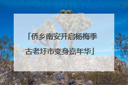 侨乡南安开启杨梅季 古老圩市变身嘉年华