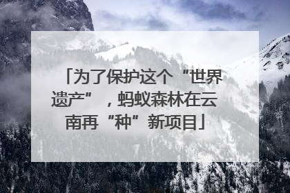 为了保护这个“世界遗产”，蚂蚁森林在云南再“种”新项目
