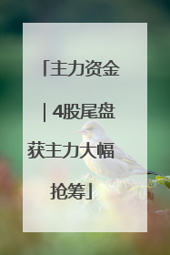 主力资金｜4股尾盘获主力大幅抢筹