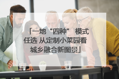 一地“四种” 模式任选 从定制小菜园看城乡融合新图景