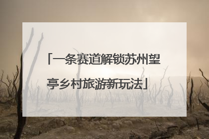 一条赛道解锁苏州望亭乡村旅游新玩法