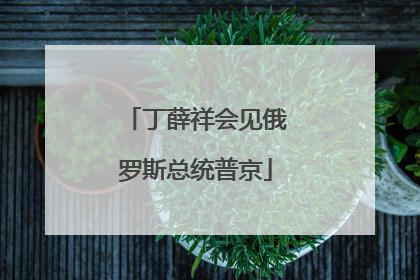 丁薛祥会见俄罗斯总统普京