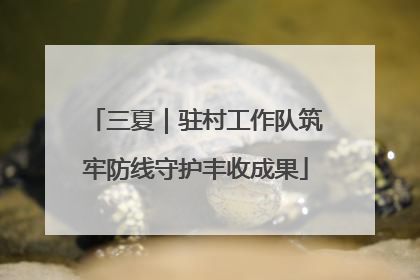 三夏｜驻村工作队筑牢防线守护丰收成果