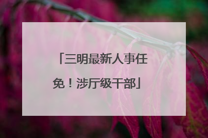 三明最新人事任免！涉厅级干部