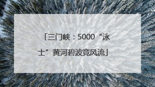 三门峡：5000“泳士”黄河碧波竞风流