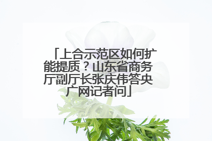 上合示范区如何扩能提质？山东省商务厅副厅长张庆伟答央广网记者问