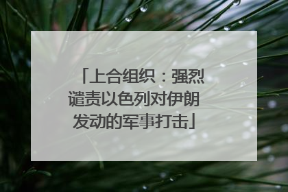 上合组织：强烈谴责以色列对伊朗发动的军事打击