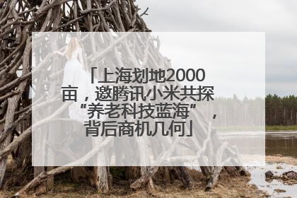 上海划地2000亩，邀腾讯小米共探“养老科技蓝海”，背后商机几何