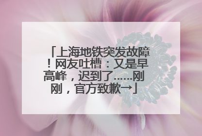 上海地铁突发故障！网友吐槽：又是早高峰，迟到了……刚刚，官方致歉→