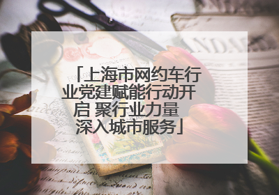 上海市网约车行业党建赋能行动开启 聚行业力量 深入城市服务