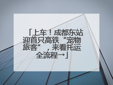 上车！成都东站迎首只高铁“宠物旅客”，来看托运全流程→