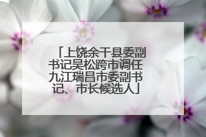 上饶余干县委副书记吴松跨市调任九江瑞昌市委副书记、市长候选人